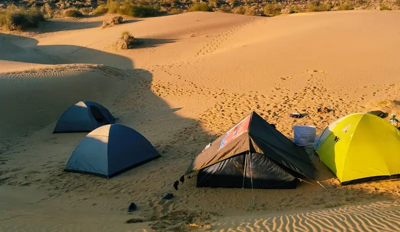 Desert Safari Jaisalmer – Jeep Safari vs Camel Safari Compared