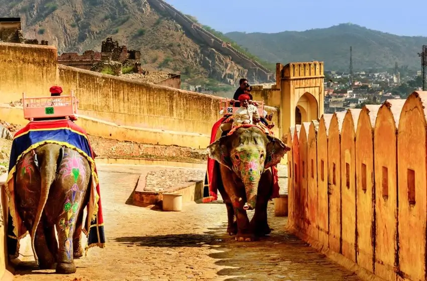 Rajasthan in February: Festivals, Blooming Landscapes and the Most Perfect Weather Window for Travellers