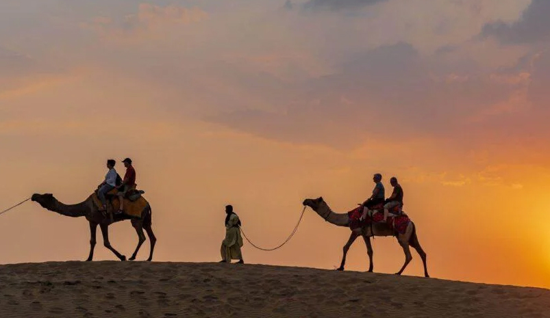Rajasthan Desert Tours: Camel Safaris, Camps & Sunset Points
