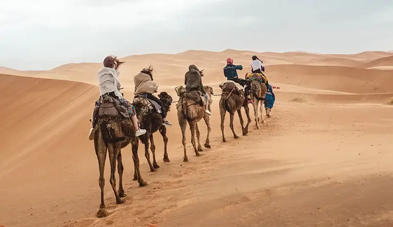 Jaisalmer Tour Guide