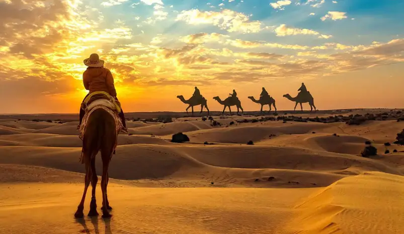 Royal Rajasthan Tour with Palace Hotels & Camel Safaris