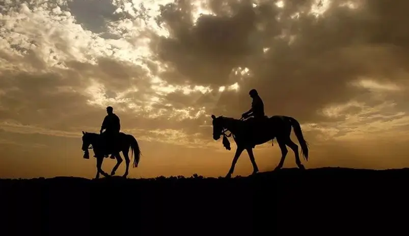 Horse Safari Tour in Rajasthan – 9 Days on Marwari Horseback