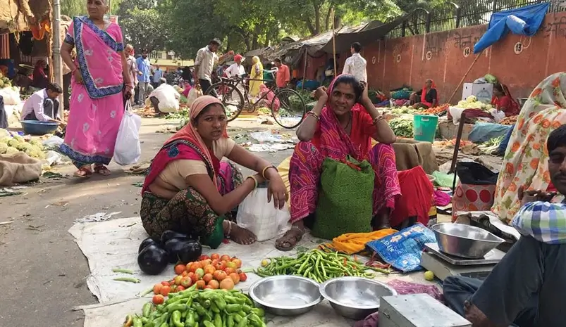 Guided Walking Tour of Jaipur