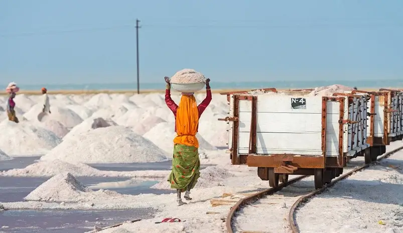 Sambhar Salt Lake day tour from Jaipur